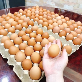 Trứng gà tươi set 10 trứng