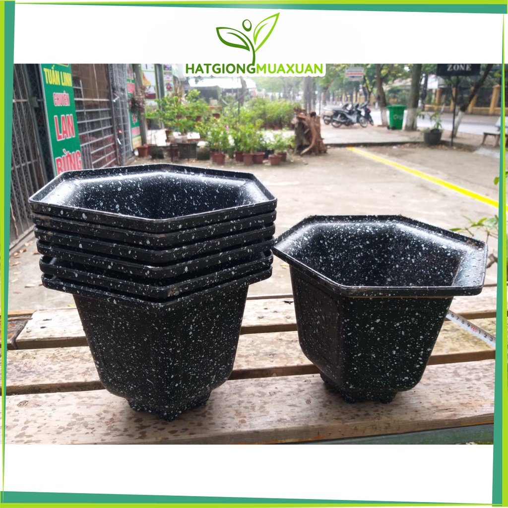 SET 10 Chậu nhựa lục giác Vân đá 39x27cm