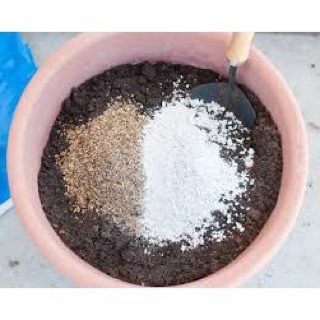 Đá Perlite (100gr)