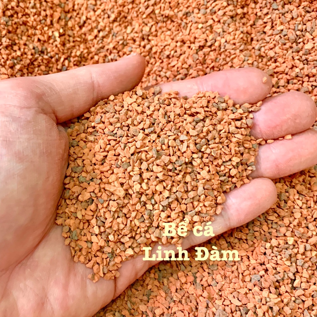 500gr Sạn gốm Ceramic trải nền, trang trí bể cá cảnh, sỏi Ceramic trải nền
