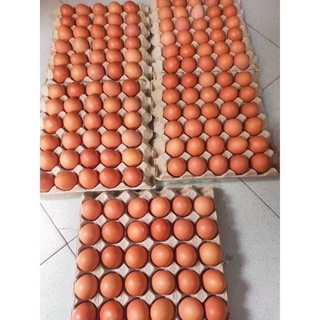 Trứng gà hộp 10 quả