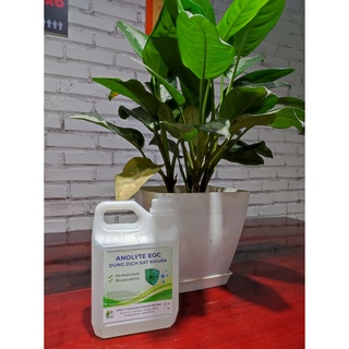 Dung dịch sát khuẩn Anolyte EOC_Can 2L