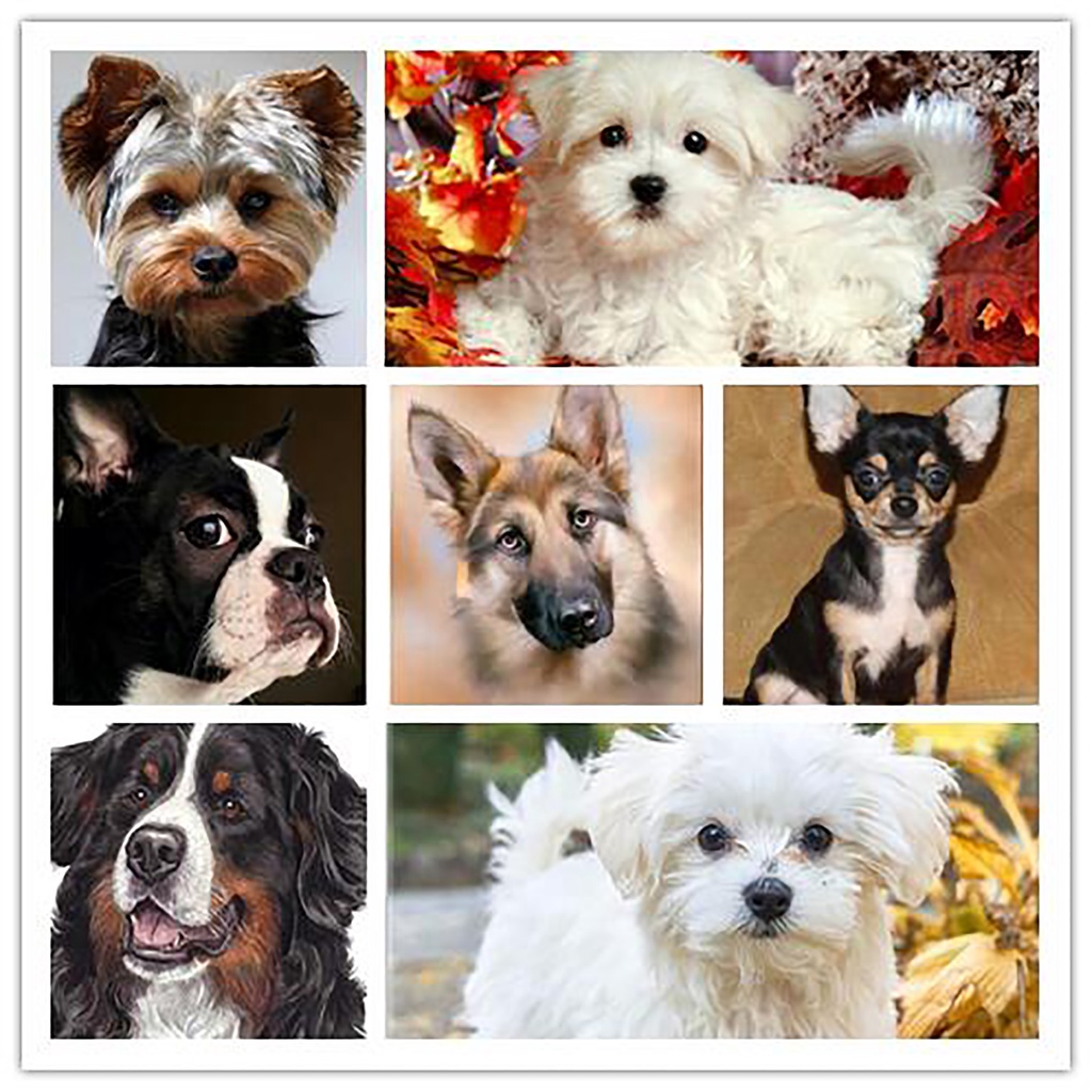 Bộ Tranh Đính Đá 5D Họa Tiết Chú Chó/ Động Vật Độc Đáo DIY Dùng Trang Trí