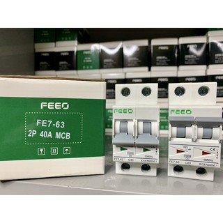 Aptomat AC/ MCB AC 2P 40A -63A 10kA - FEEO