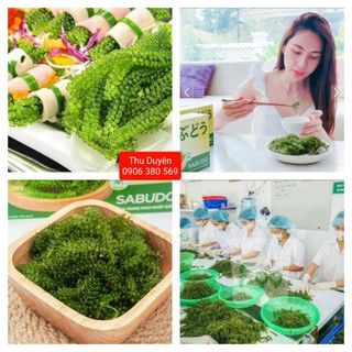 [ Gỏi lẻ dùng thử ] Rong nho tách nước SABUDO + tặng kèm sốt mè rang ( 15ml )