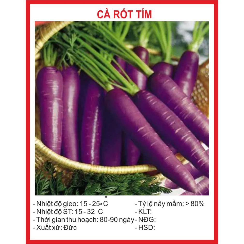 Hạt giống Cà Rốt Tím 0.1Gram