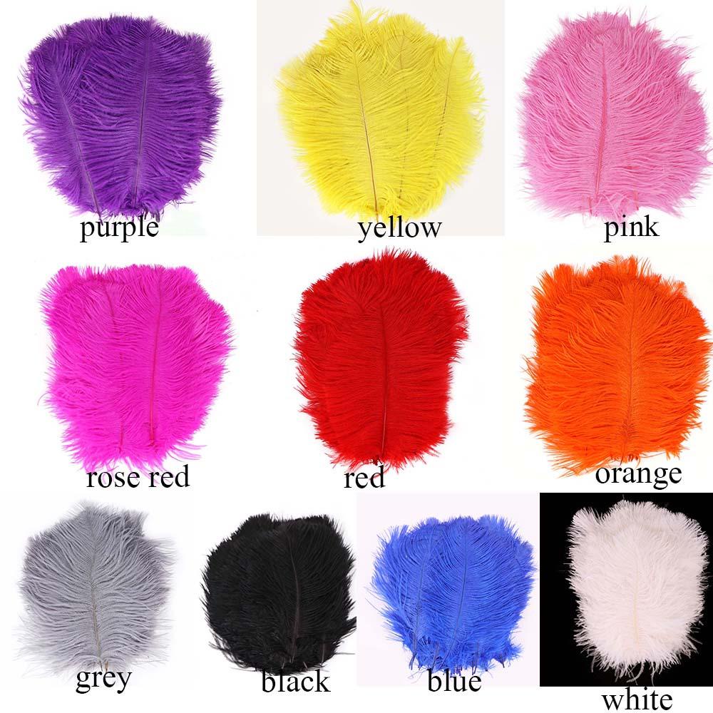 Lông Đà Điểu Đầy Màu Sắc Tự Nhiên Dùng Làm Trang Sức