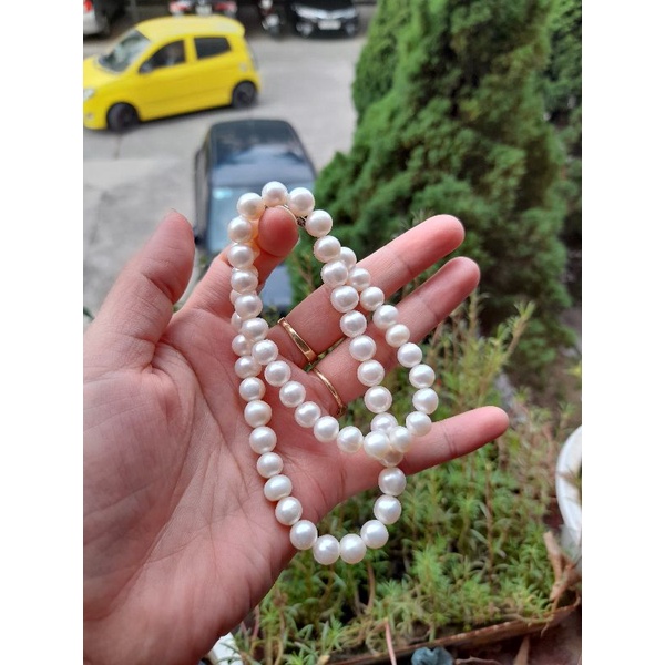 Dây trai ngọt 40cm