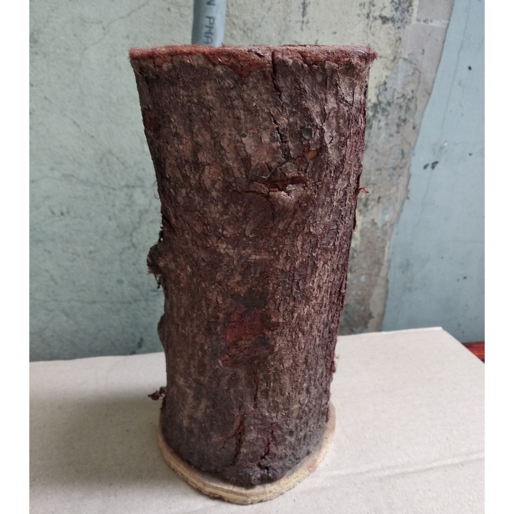 Khúc gỗ cắm hoa