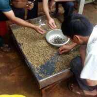 CAFE MIX ĐẶC BIỆT MIKA 5kg