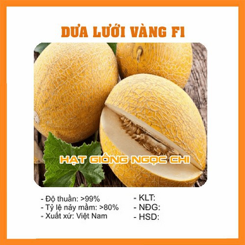 Hạt Giống Dưa Lưới Vàng F1 - 10 Hạt