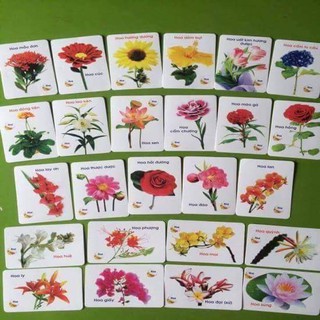 Bộ thẻ học 16 chủ đề 416 thẻ cho bé yêu