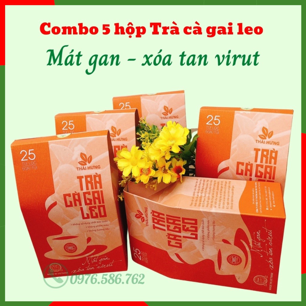 Cà Gai Leo Thái Hưng, Giải Độc Gan, Mát Gan, 25 Túi Lọc 125g Xóa Tan Mụn Nhọt Mẩn Ngứa