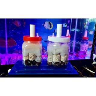 Lọc vi sinh chế : nhỏ - lớn [ lớp lọc]
