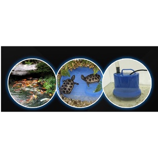 Máy bơm đáy hồ cá, hút cặn lọc bể cá-