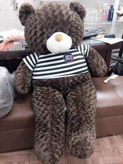 Gấu teddy 1m2 chocolate