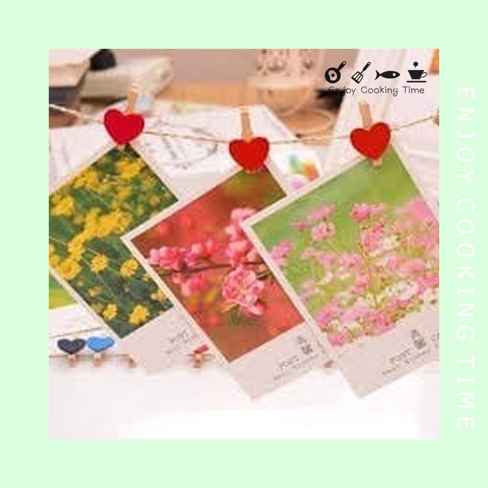 kẹp gỗ nhỏ trang trí chụp hình xinh xắn