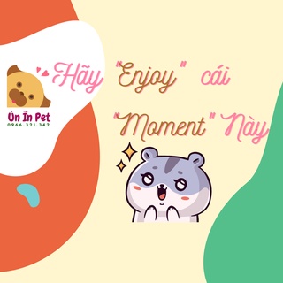 Chuồng hamster, Lồng mèo 2 tầng