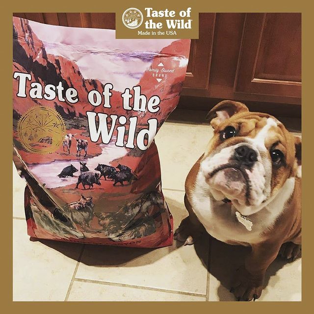 Thức Ăn Cho Chó Pug Taste Of The Wild Bao 500g Southwest Canyon Thịt Heo Rừng, Trái Cây Rau Củ Quả