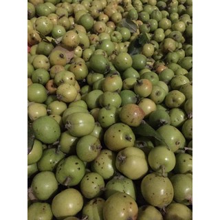 4kg táo mèo tươi