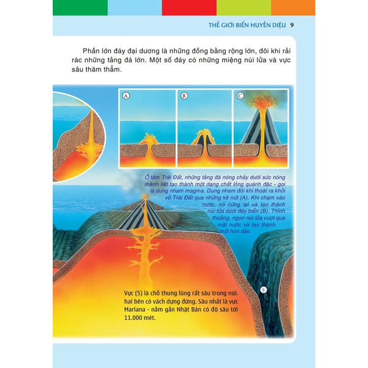 Sách - Thế giới biển huyền diệu