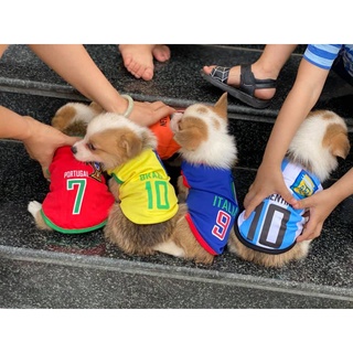 Áo đá bóng cho chó mèo siêu ngộ nghĩnh, cute đáng iu
