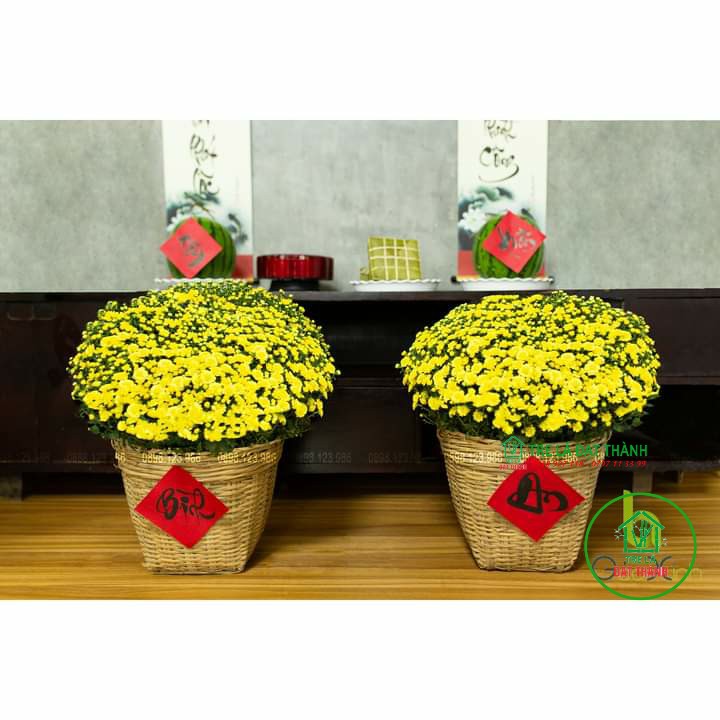 CẦN XÉ TRE ĐA NĂNG