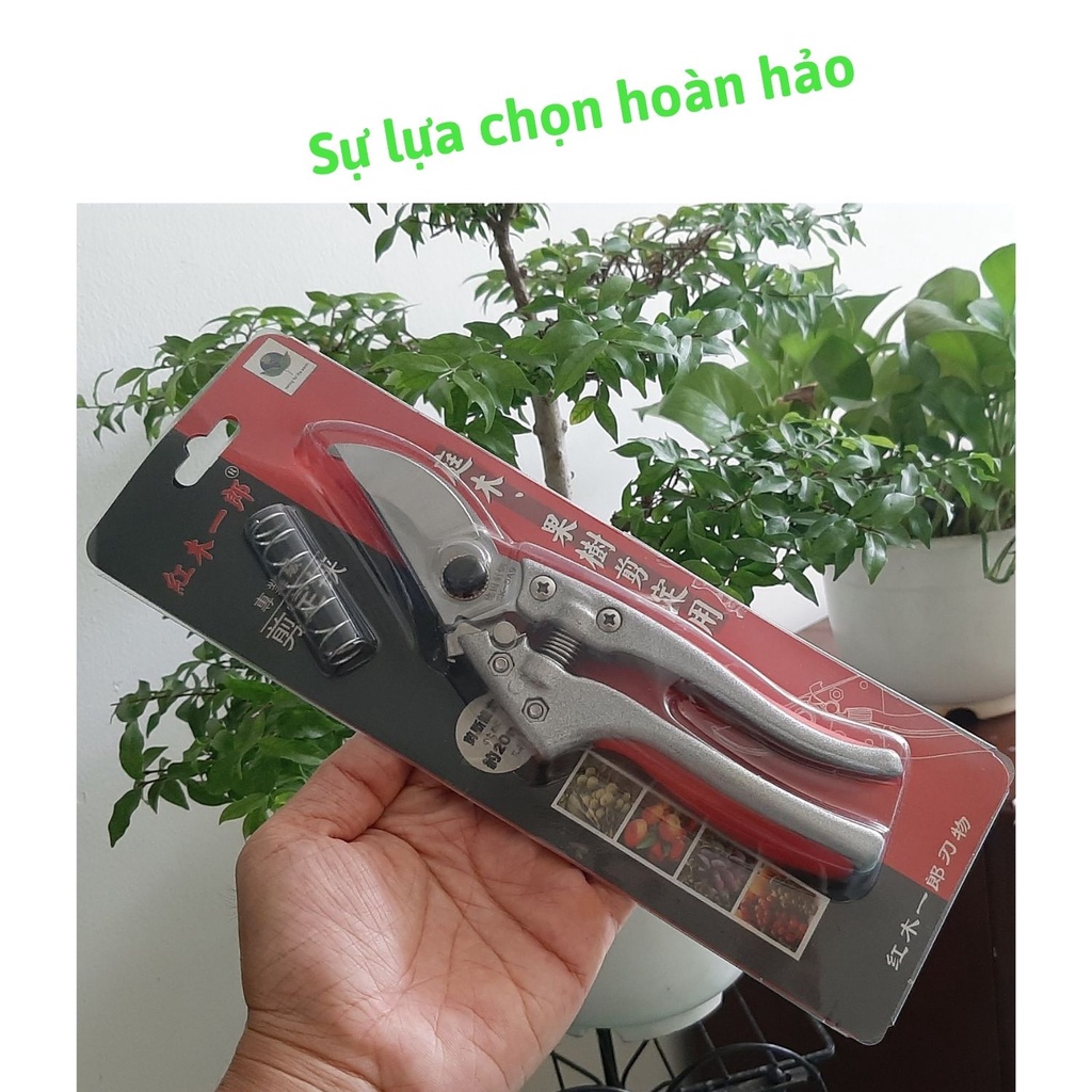 Kéo cắt cành Sada thép SK5 lưỡi siêu bén từ thép SK5 dùng cắt tỉa cành cây bonsai, cây cảnh, cây ăn trái