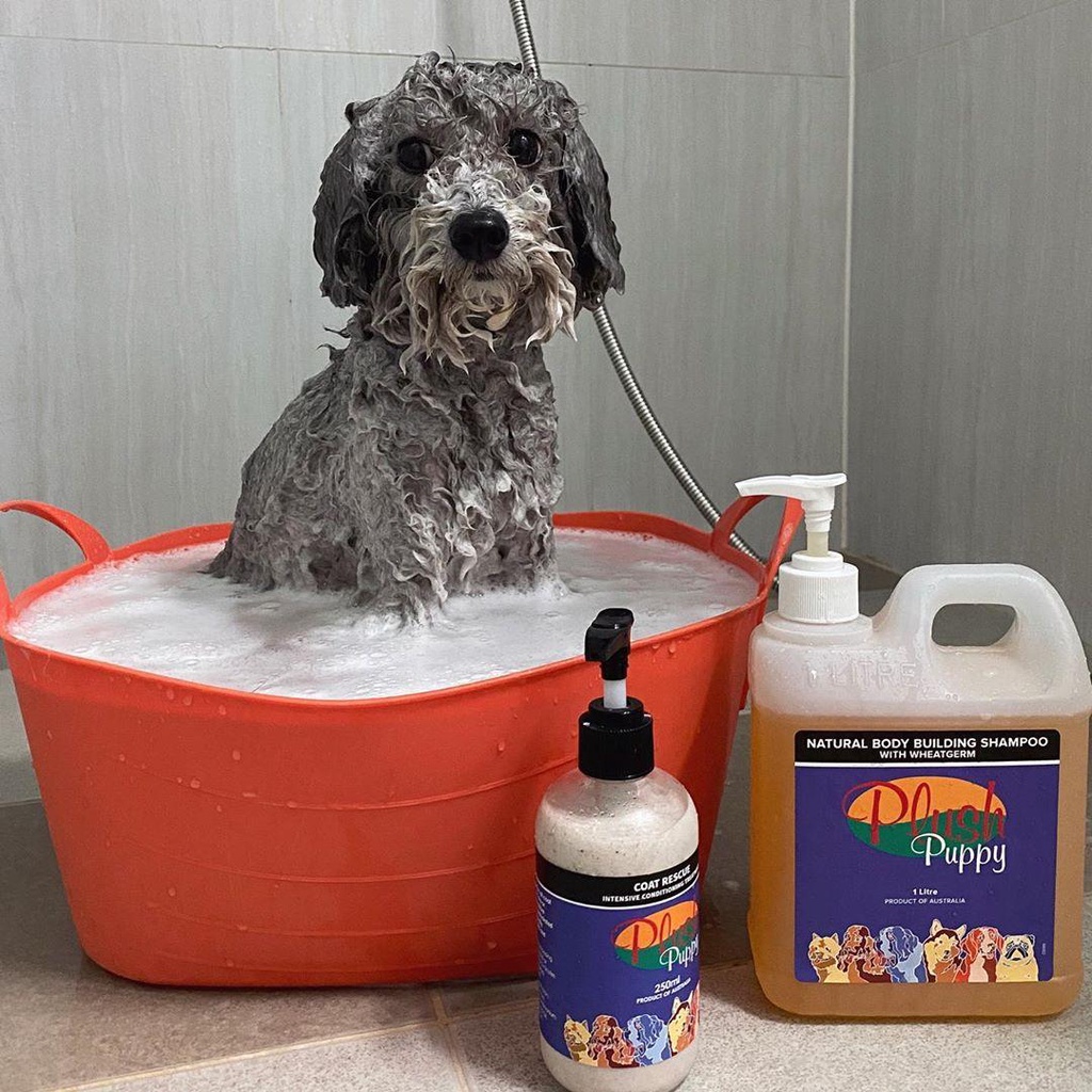 Sữa tắm chó mèo PLUSH PUPPY tinh chất lúa mỳ giúp bông lông - Natural Body Building Shampoo with Wheatgerm