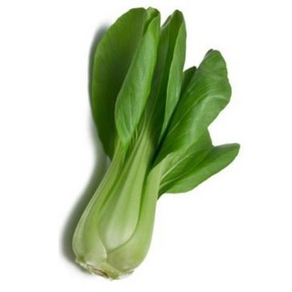 hạt giống rau cải chít xanh ( cải thìa )