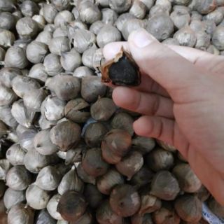 Tỏi đen cô đơn