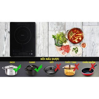 Bếp từ - điện từ Delites BDT01 - 200W