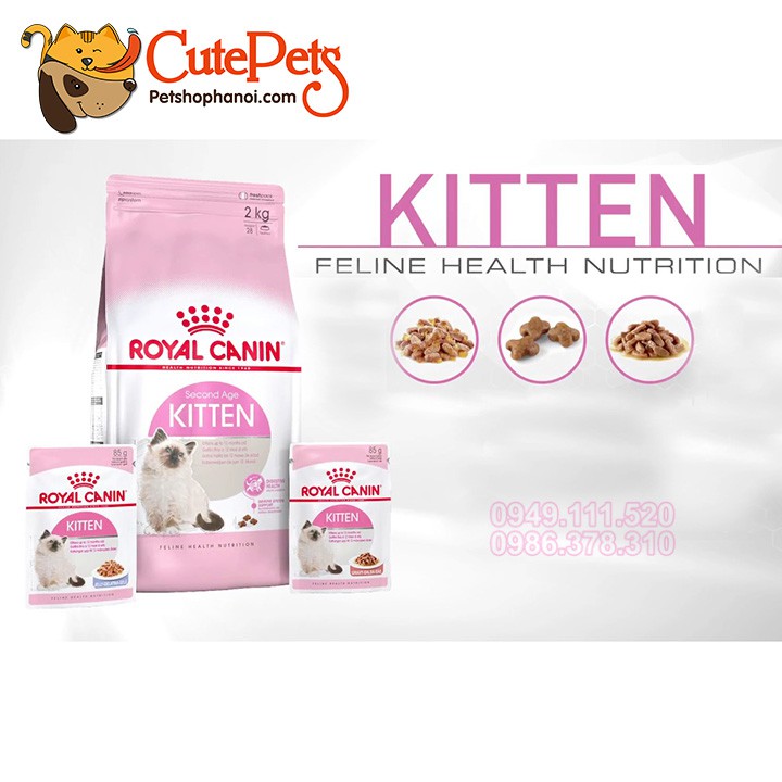 Thức ăn cho mèo con Royal Canin Kitten 36 1kg - CutePets Phụ kiện thú cưng Pet shop Hà Nội