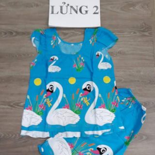 Combo 3 bộ tole lửng 2