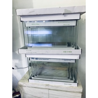 Bể đúc uốn cong cạnh | dùng để chơi thuỷ sinh cá cảnh, nuôi tép
