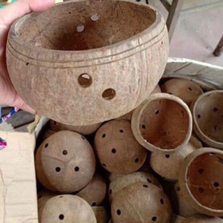 Combo 5 cái Gáo dừa trồng lan