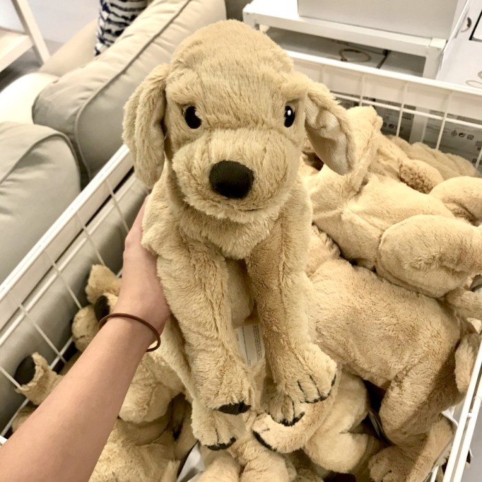 Chó bông GOSIG GOLDEN IKEA chính hãng, giao nhanh hoả tốc 2h