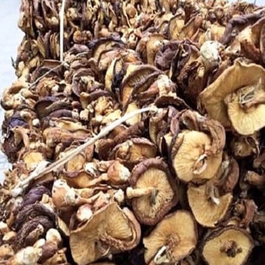 Nấm hương rừng Hà Giang, nấm đông cô rừng tự nhiên gói 500gr