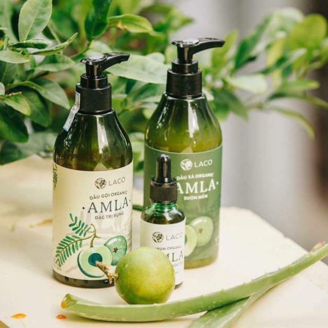 [Ngăn Ngừa Rụng + Mọc Tóc] Bộ Dầu Gội+Xả+Serum Thảo Dược Amla Laco Chiết Xuất Thiên Nhiên Chính Hãng Công Ty | BigBuy360 - bigbuy360.vn