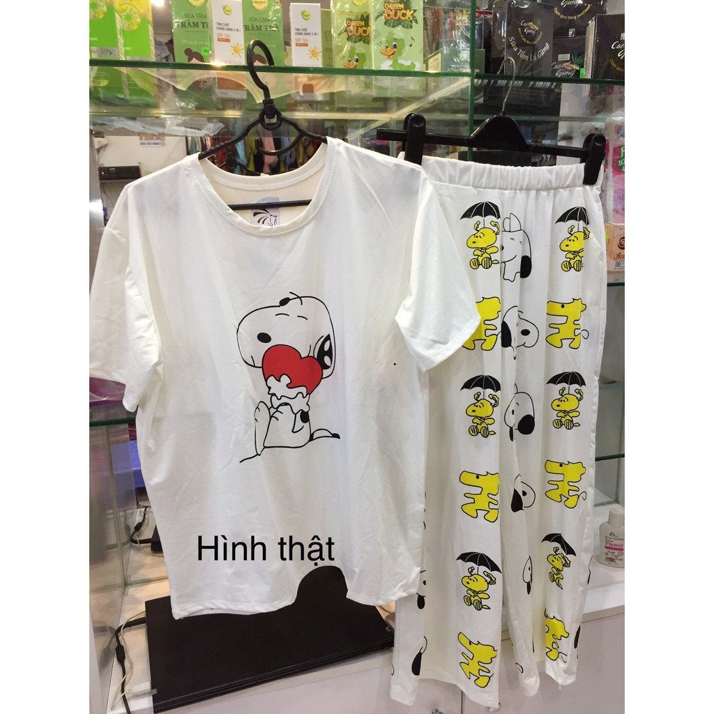 [Ảnh thật tự chụp] Đồ bộ thun cotton mới về nhe khách | BigBuy360 - bigbuy360.vn