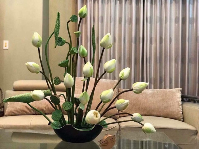 Bát sen thả hoa sz 23cm, 30cm