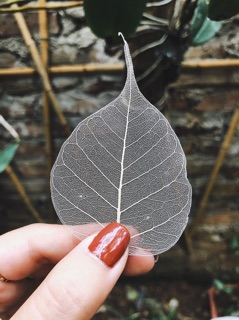Xương lá bồ đề mạ vàng