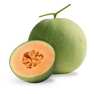 Hạt giống dưa lưới
