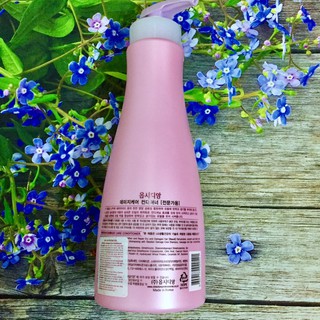 Dầu Xả Tái Tạo Tóc Obsidian Damage Care Conditioner 1500ml