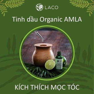 Serum kích thích mọc tóc AMLA