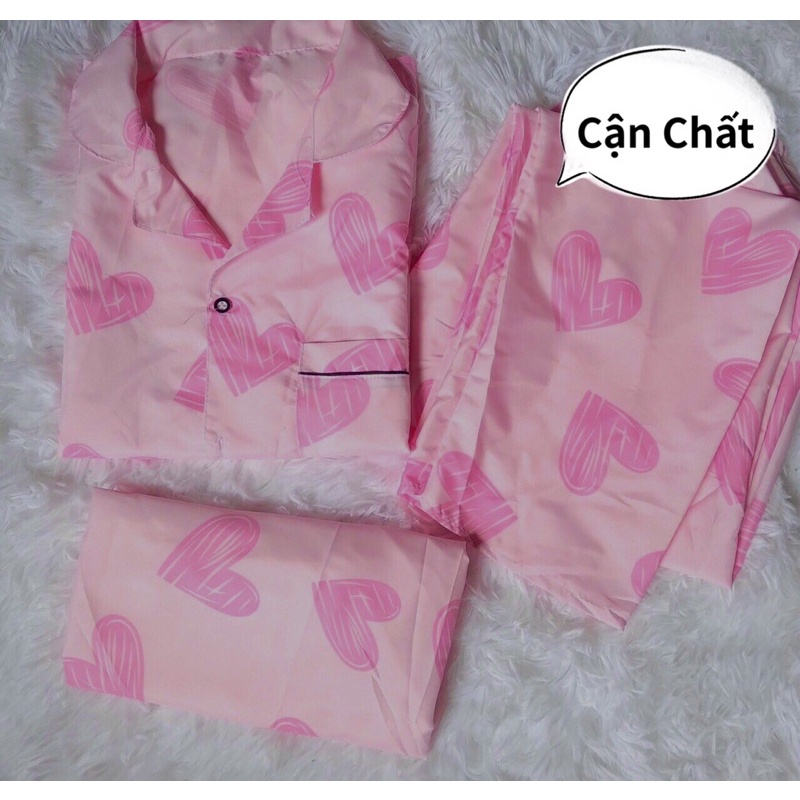 Bộ Đồ Ngủ Pijama Dài - dài tay 12 Mẫu Hoạ Tiết Xinh Xắn | BigBuy360 - bigbuy360.vn