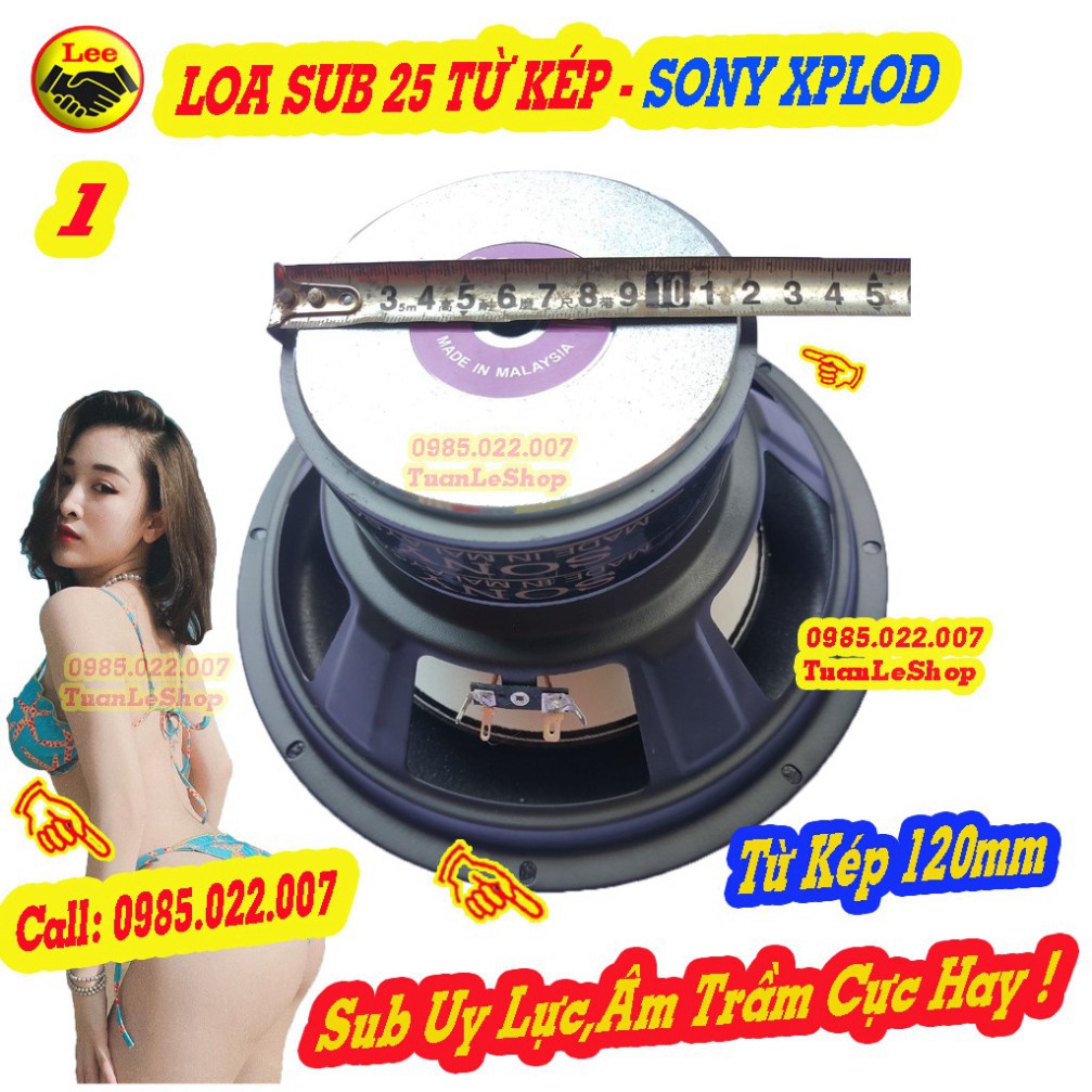 02 LOA SUB 25 MÀNG VÀNG TỪ KÉP 120 SONNY – CẶP SUB 2.5 TẤC TỪ KÉP NHẬP KHẨU MALAYSIA