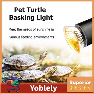 Đèn bò sát Thú cưng lưỡng cư Thằn lằn Bóng đèn sưởi Rùa Basking Đèn UV