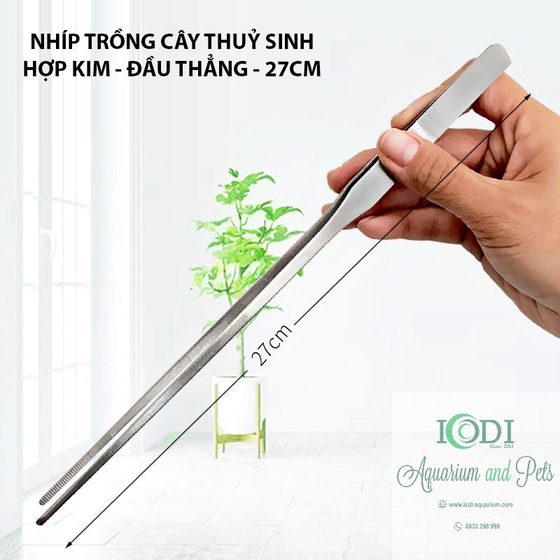 Nhíp trồng cây cho bể thủy sinh