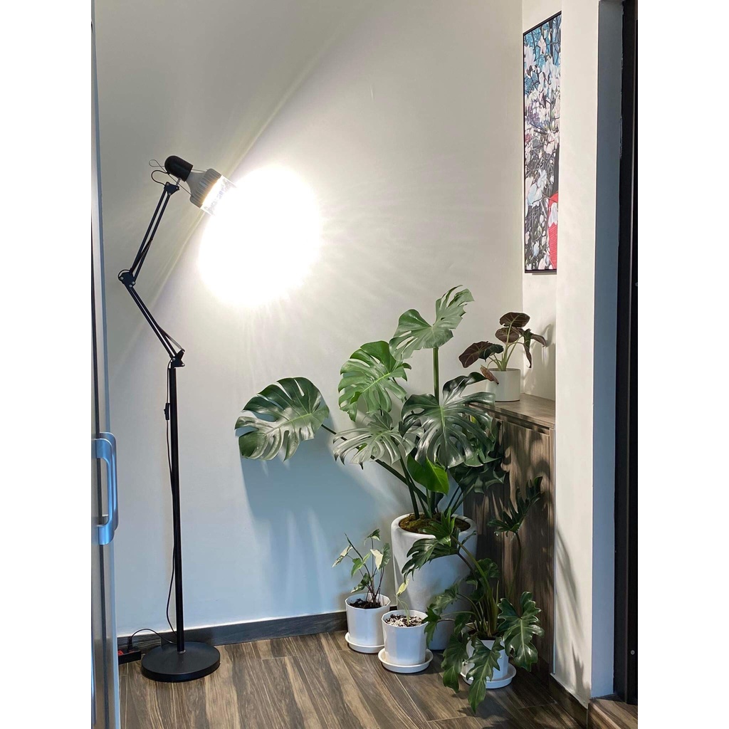 Đèn Led trồng cây Rạng Đông 50W 220V có UV, đèn quang hợp cho cây trong nhà, kích thích tăng trưởng
